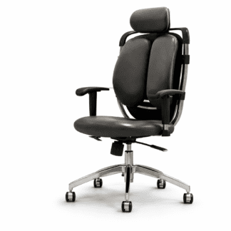 Premium Ergonomic Office Chair with Headrest